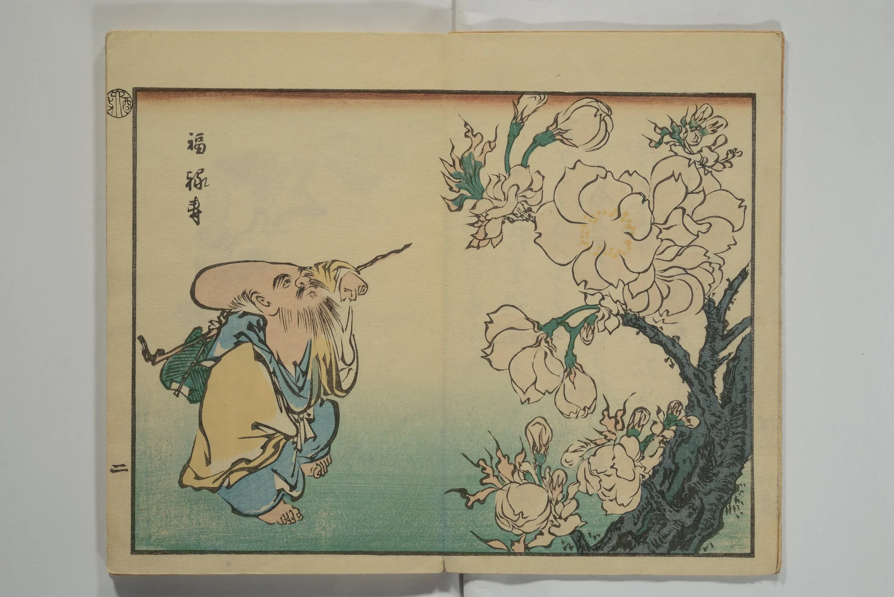 Blossom studies from a woodblock album