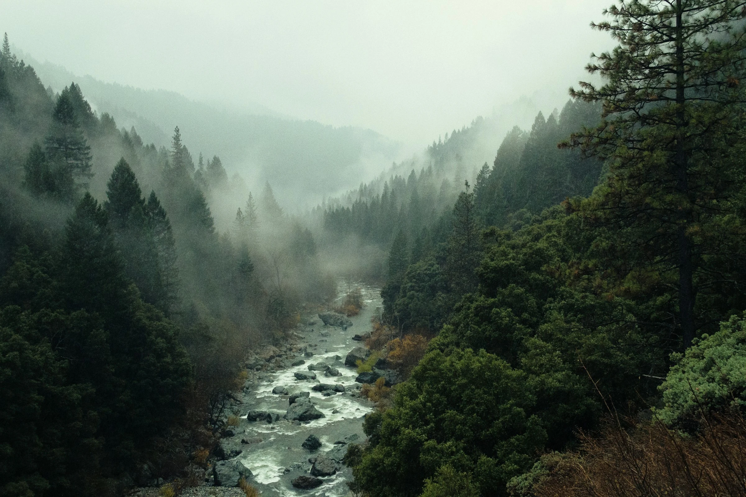 A river valley under heavy mist